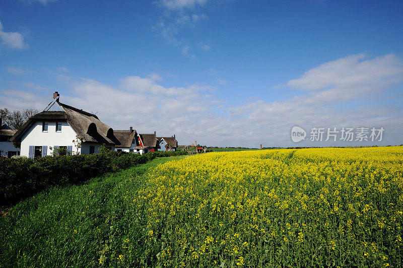 德国Rügen Cap Arkona景观与典型的家夏季